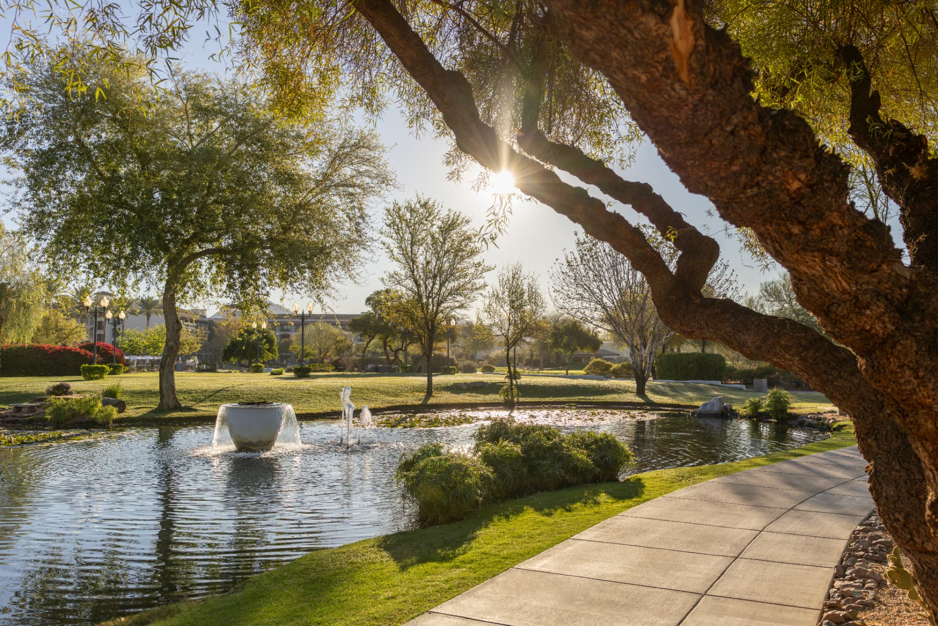 Morning light over a pond and lawn at the Fairmont Scottsdale Princess